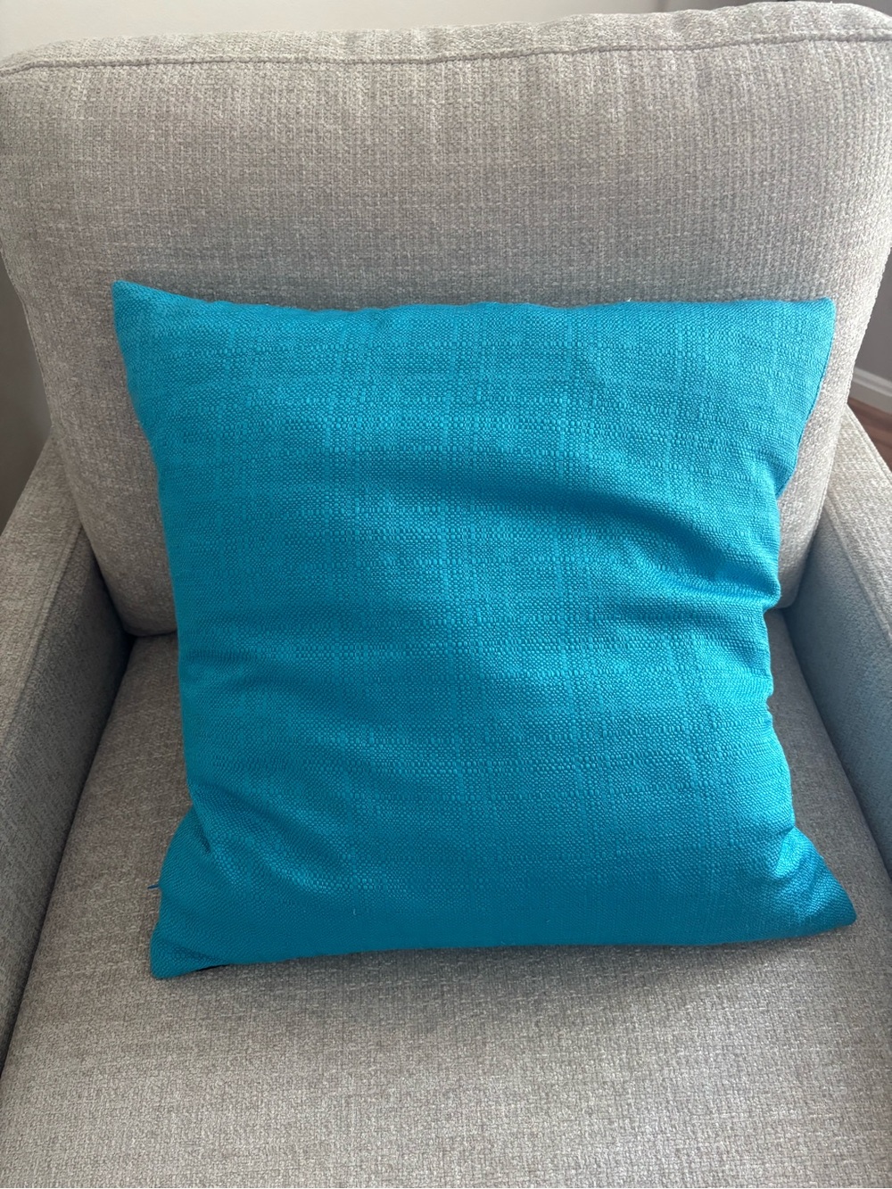 2 Throw Pillows